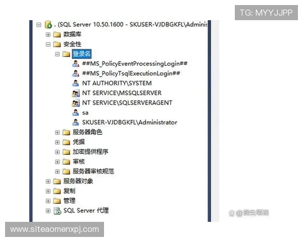 如何快速访问hkjc游戏网址，确保每次登录都安全顺畅的详细攻略